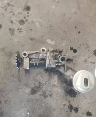 Renault Trafic II (X83) Oil pump 7700600252
