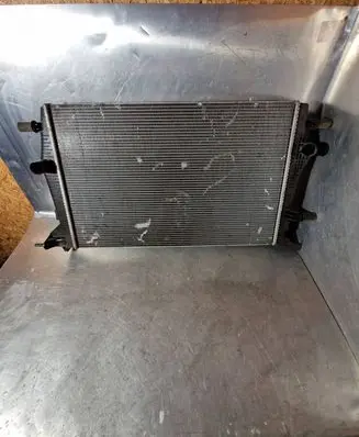 Renault Scenic III - Grand scenic III Coolant radiator 214100015R RA1564 M134742