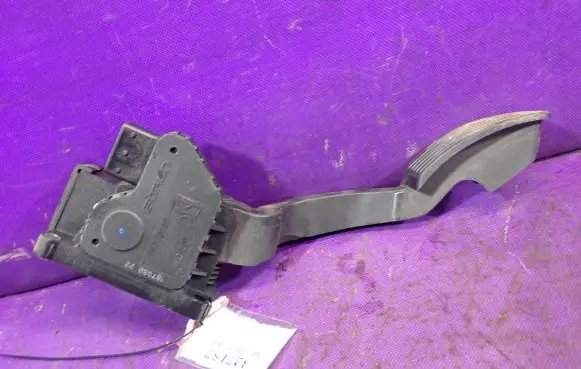 Fiat Punto (199) Accelerator throttle pedal 55702020