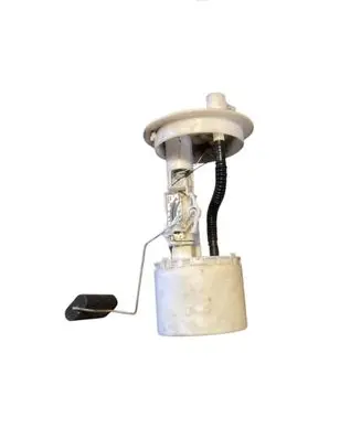 Citroen Berlingo In-tank fuel pump 9641987080