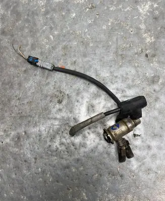 Renault Master III AdBlue injector 160726474R-BILLI 160726474R