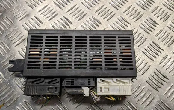 BMW 5 E39 Light module LCM 61356919454