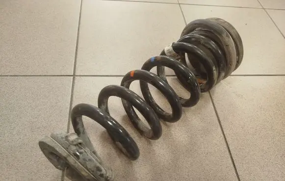Rear coil spring
