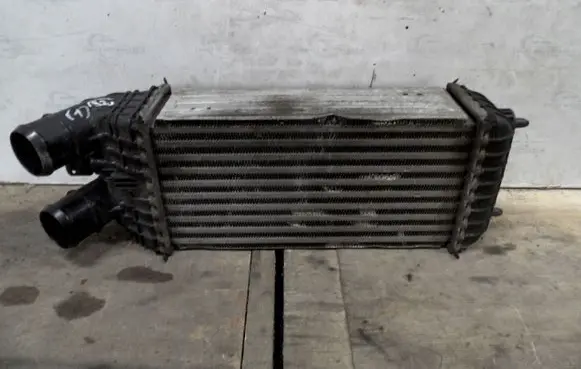 Citroen DS3 Intercooler radiator 9803900780