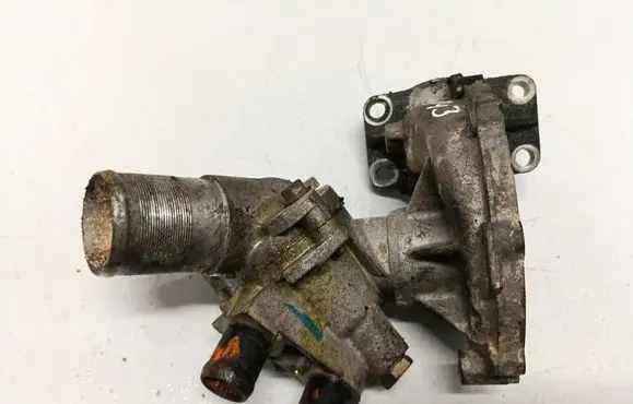Renault Laguna I Engine coolant pipe/hose 0070905003