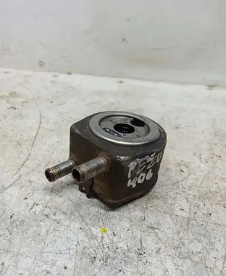 Peugeot 406 Oil filter mounting bracket