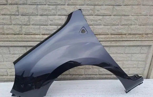 Renault Kangoo II Front wheel arch liner splash guards KNGPLPRZED