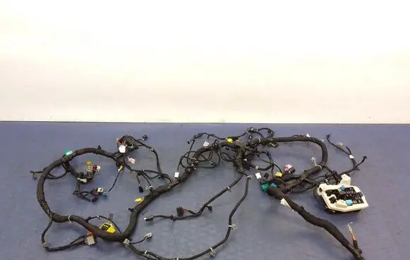 Cadillac CTS Other wiring loom 84139318