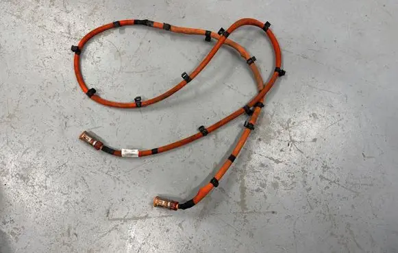Mercedes-Benz EQE v295 Other wiring loom A2955402803