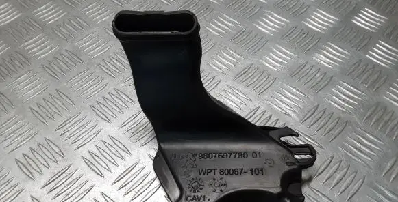 Peugeot 308 Rain gutter 9807697780