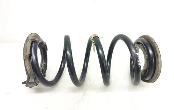 Rear coil spring