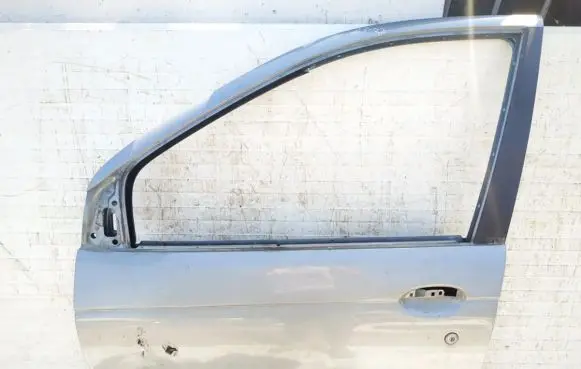 Renault Scenic I Front door pilkos