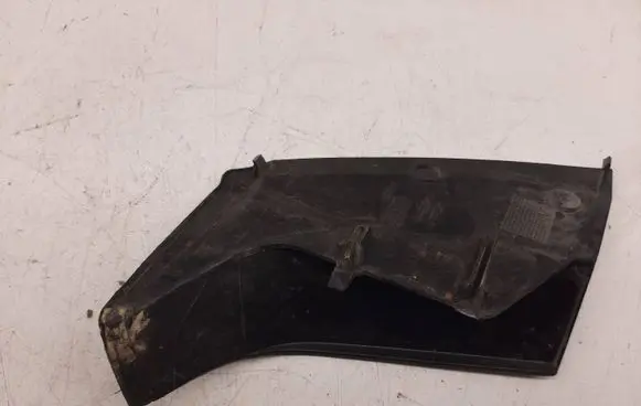 Rear/tail light trim molding