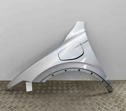 Volkswagen Tiguan Fender