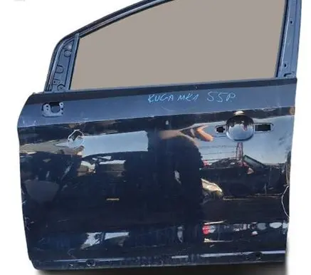Ford Kuga I Front door
