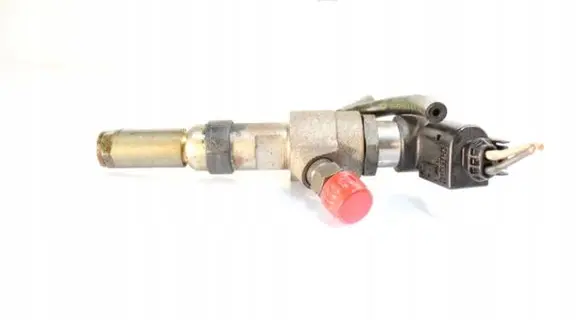 Citroen C2 Fuel injector