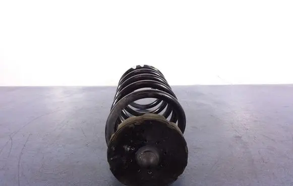 Audi Q5 SQ5 8R Rear coil spring 
