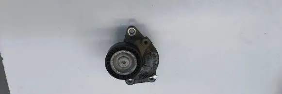 Citroen Jumpy Generator/alternator belt tensioner 9805244980