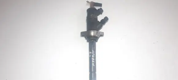 Citroen C4 I Fuel injector 0445110297
