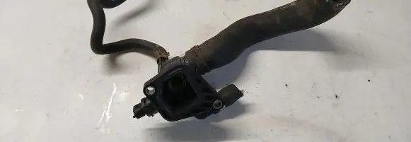 Thermostat/thermostat housing