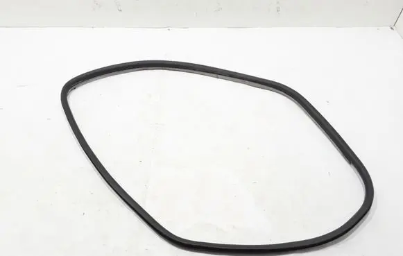 Renault Laguna III Front door rubber seal 808330001R