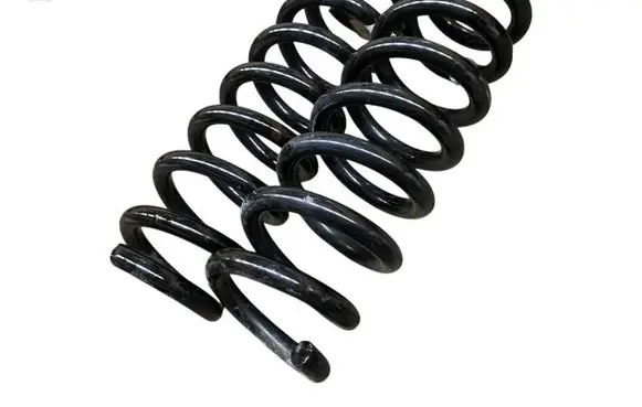 Rear coil spring