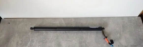 Tailgate strut