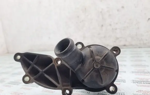 Thermostat/thermostat housing