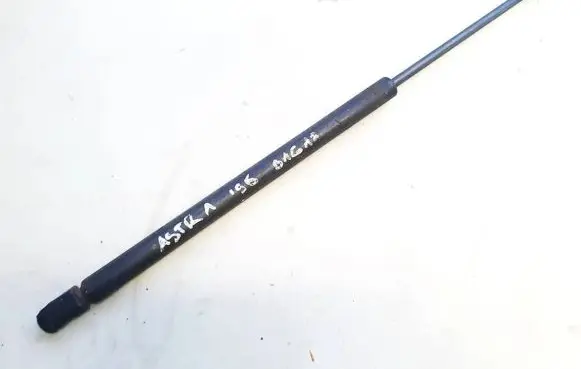 Tailgate/trunk strut/damper