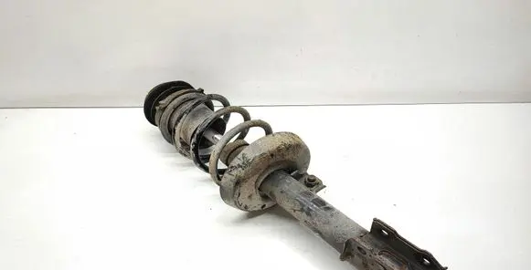 Opel Astra G Front shock absorber with coil spring 445958