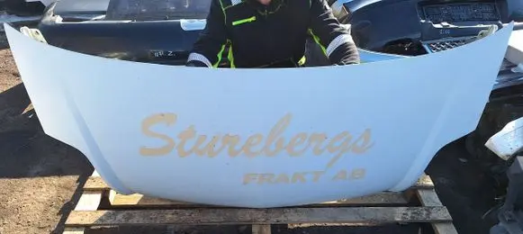 Engine bonnet/hood