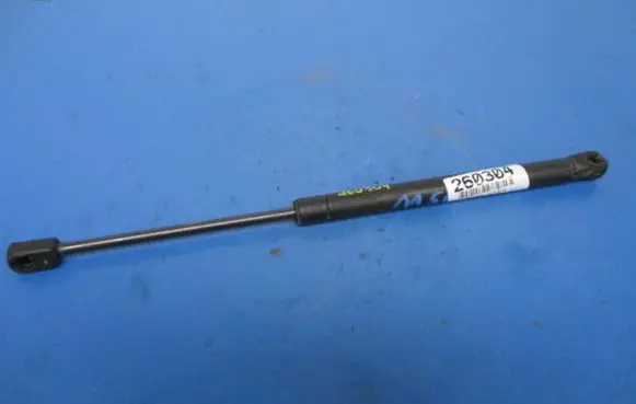Chevrolet Aveo Shock absorber/damper mounting bracket 