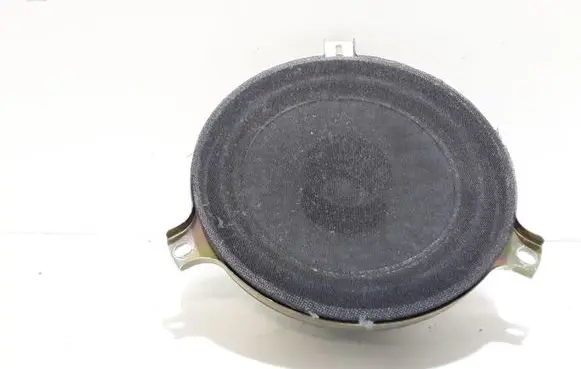 Rear door speaker