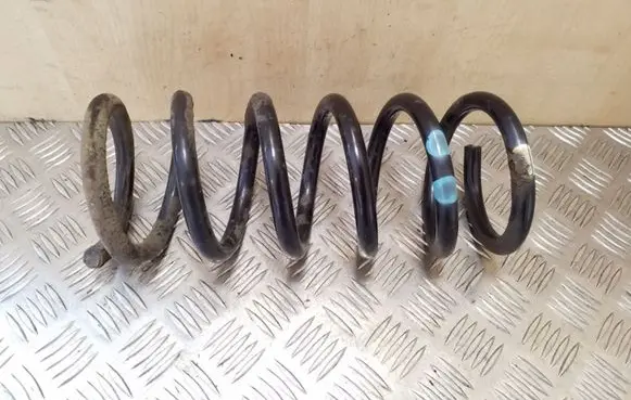 Opel Antara Rear coil spring