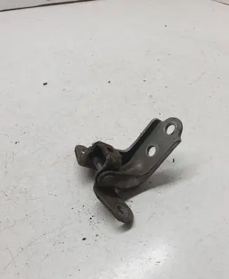 KIA Sportage Front door lower hinge 