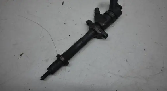 Citroen C4 I Fuel injector 0445110281