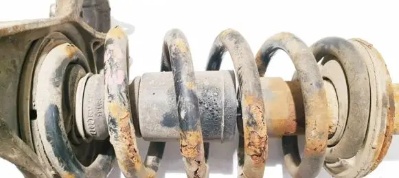 Front coil spring