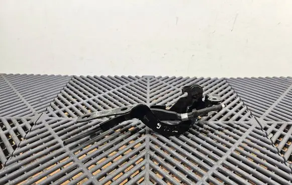 Lexus CT 200H Engine bonnet/hood hinges