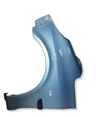 Peugeot 1007 Fender 