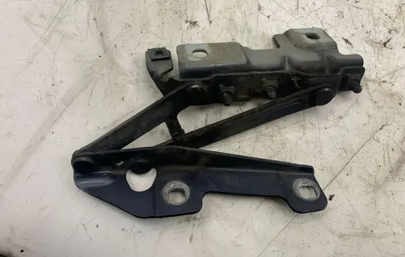 Opel Insignia A Engine bonnet/hood hinges 12841601