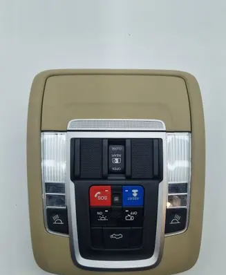Ram 1500 Front seat light P6EF981L1AE 5Y1YL1192500292