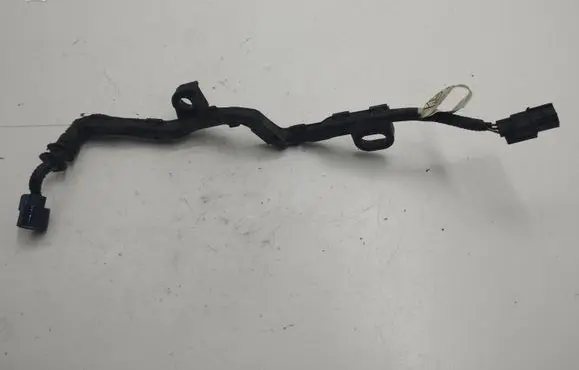 Other wiring loom