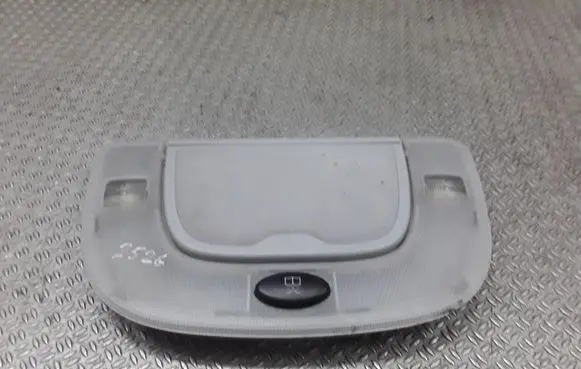 Rear seat light