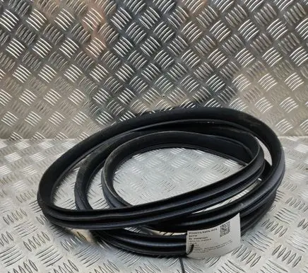 Mercedes-Benz S C217 Rubber seal front coupe door A2226970151