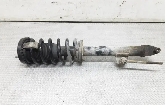 Chrysler 300 - 300C Front shock absorber with coil spring