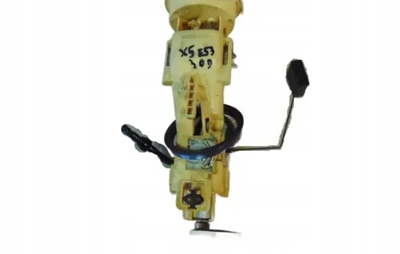 BMW X5 E53 In-tank fuel pump