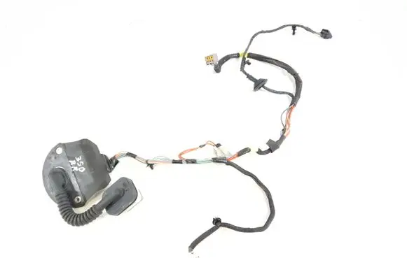 Rear door wiring loom