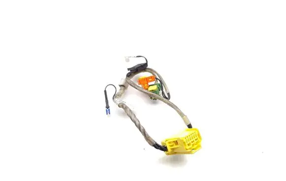 Other wiring loom