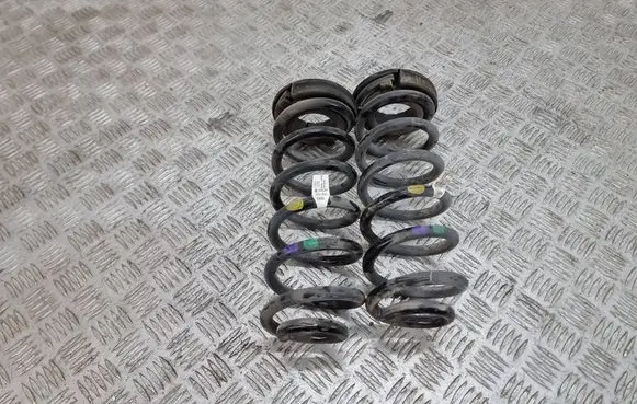 Rear coil spring