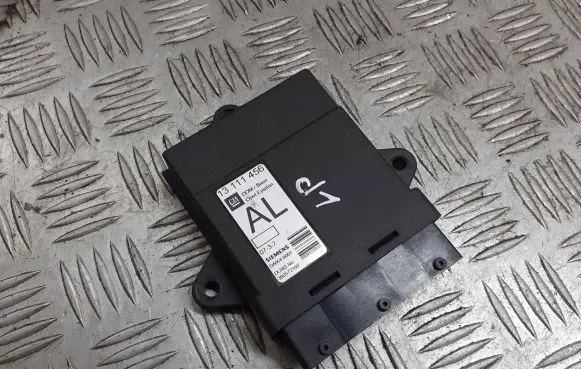 Opel Vectra C Door control unit/module 13111456